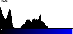 Blue Histogram