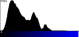 Blue Histogram