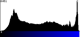 Blue Histogram
