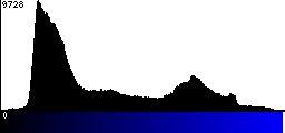 Blue Histogram