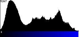 Blue Histogram