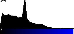 Blue Histogram