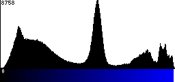 Blue Histogram