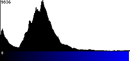 Blue Histogram