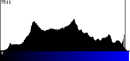 Blue Histogram
