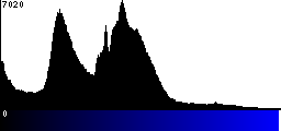 Blue Histogram