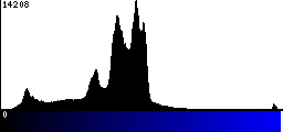 Blue Histogram