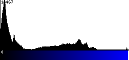Blue Histogram