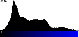 Blue Histogram