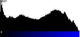 Blue Histogram