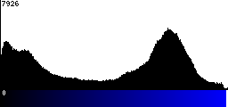 Blue Histogram