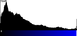 Blue Histogram