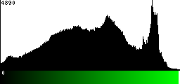 Green Histogram