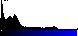Blue Histogram