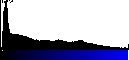 Blue Histogram