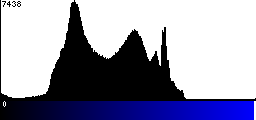 Blue Histogram