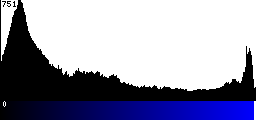 Blue Histogram