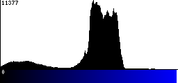 Blue Histogram