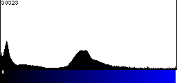 Blue Histogram