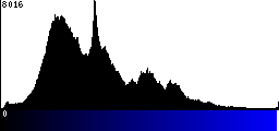 Blue Histogram