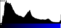 Blue Histogram