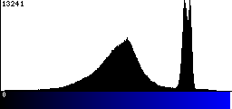 Blue Histogram