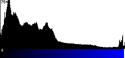 Blue Histogram