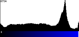 Blue Histogram