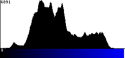 Blue Histogram