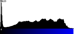 Blue Histogram