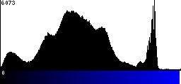 Blue Histogram