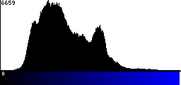 Blue Histogram
