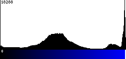 Blue Histogram