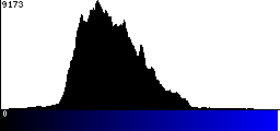 Blue Histogram