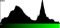 Green Histogram