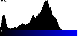 Blue Histogram