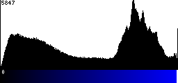 Blue Histogram