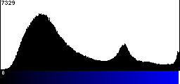 Blue Histogram