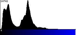 Blue Histogram