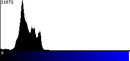 Blue Histogram