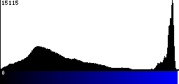 Blue Histogram