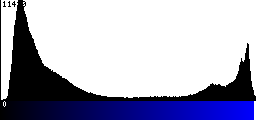 Blue Histogram