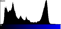 Blue Histogram