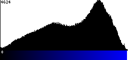 Blue Histogram