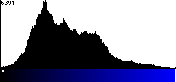 Blue Histogram