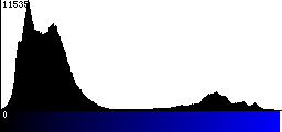Blue Histogram