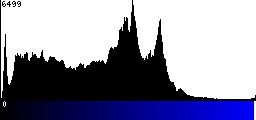 Blue Histogram