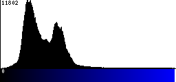 Blue Histogram