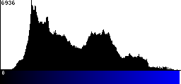 Blue Histogram