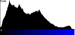 Blue Histogram
